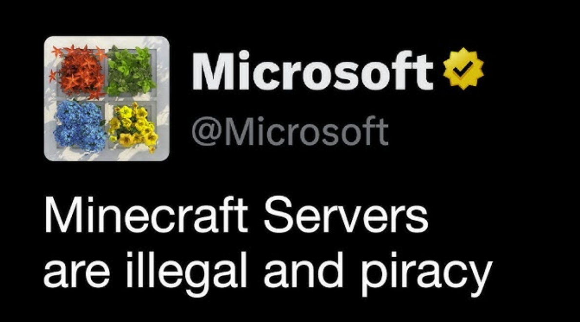 What ESA REALLLY SAID about Minecraft Servers